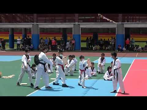 表演-高榮國小學生跆拳道社團